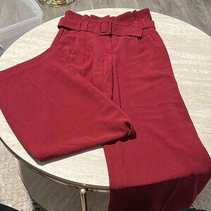 Express Elegant wide leg Women's Pants